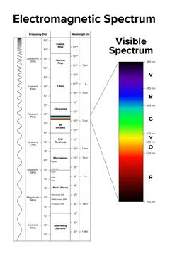 Electromagnetic spectrum and its visible spectrum Stock Illustration