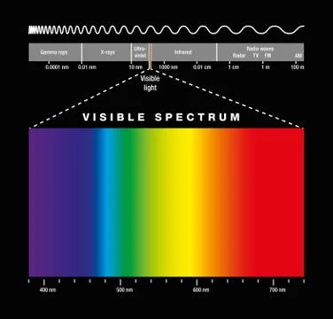 Electromagnetic Spectrum And Visible Light Stock Illustration