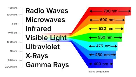 Electromagnetic Spectrum Information Gamma Rays Scheme Vector Illustrazione stock