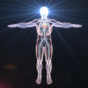 Electrome, the sum total of electrical currents that exist within the human.. Illustrazione stock