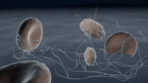 Electron micrograph platelet adhering to fibrin strands loop Видео 343137747