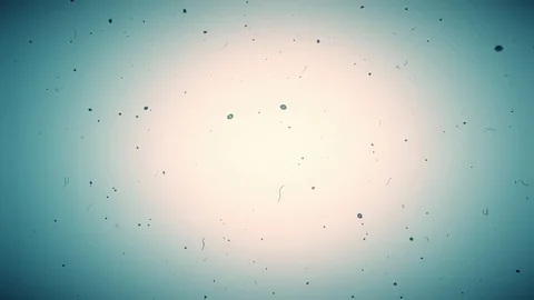 Electron microscope particles float and swirl. Stock Footage 85135008