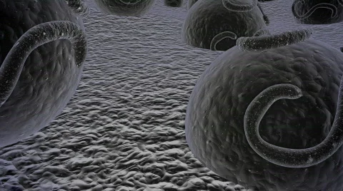 Electron Microscope viruses Stock Footage 83893