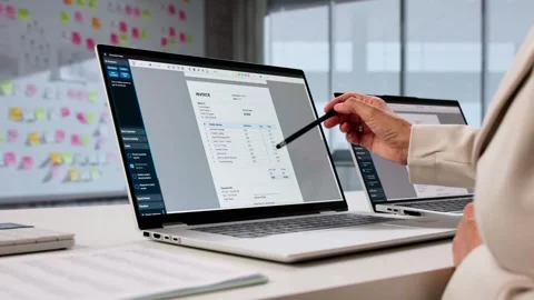 Electronic Accountant Software For Tax Invoice Statements Stock Footage 315214669