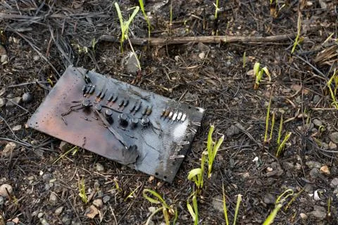 Electronic board. environmental pollution. Stock Photos