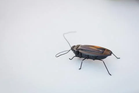 Electronic bug toy stylized as computer bug concept on white background Stock Photos
