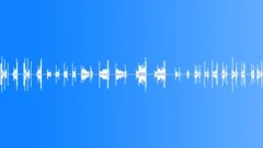 Electronic Camera LensSound Effect