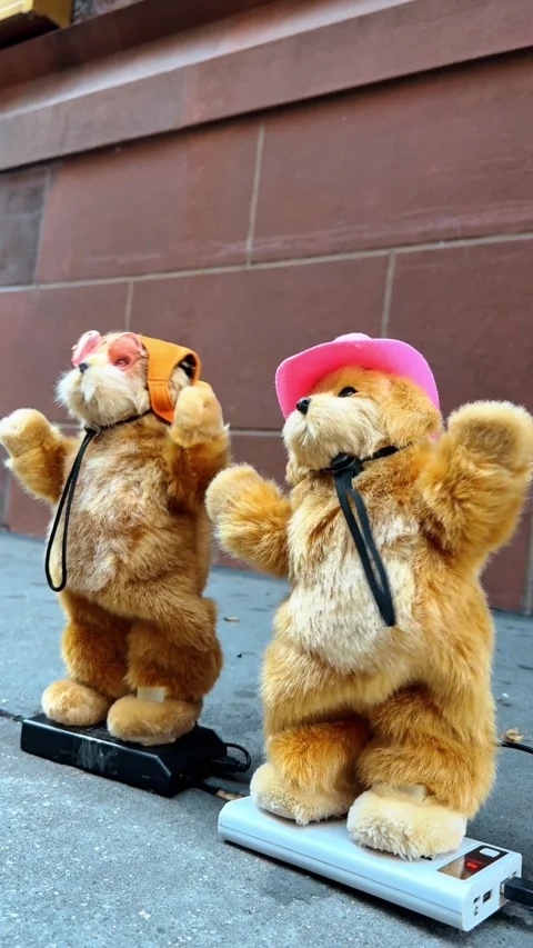 Electronic cats in caps dance synchronically outdoors. Brick wall at backdrop. Stock Footage 328722194