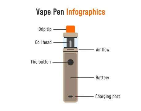 Electronic cigarette infographics. Stock Illustration