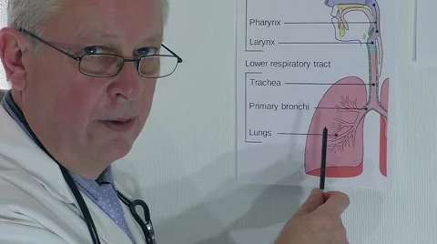 Electronic Cigarette Lecture Video stock 55213118