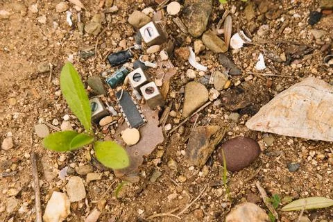 Electronic circuits dumped in the forest. An ecological problem. Stock Photos