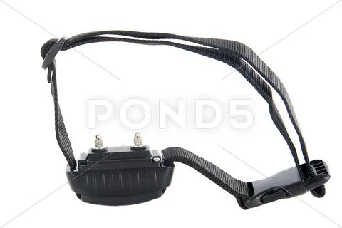 Electronic collar Stock Photos