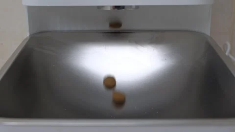 Electronic dog feeder with hole to remove food from box Stock Footage 252049761