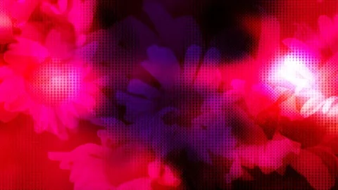Electronic flower Stock-Footage 82250909