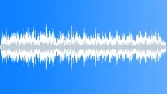 Electronic Fly Buzz Sound Effect