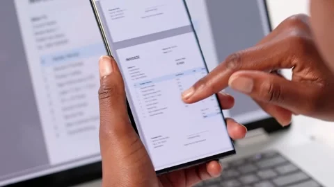 Electronic Invoice Software For Online Accounting With E-Accountant Stock Footage 313752348