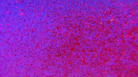 Electronic Magenta Particle Background 库存影片 12547445