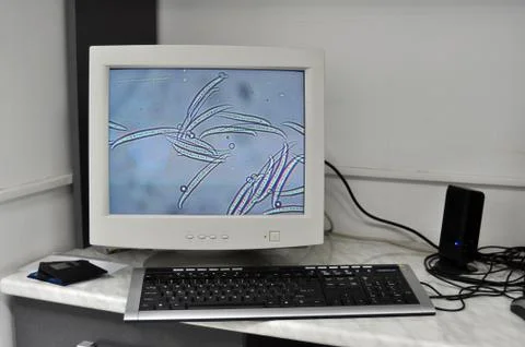 Electronic microscope Stock Photos