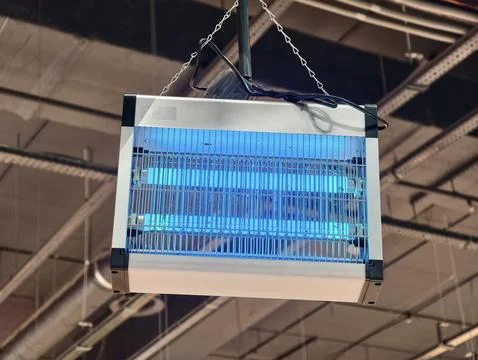 Electronic mosquito killer with UV light in retail store. Bug zapper lanter.. Stock Photos