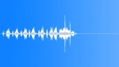 Electronic NCR Adding InSound Effect