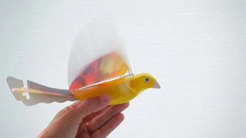 Electronic parrot bird hand white background 動画素材 115965449