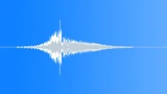 ELECTRONICSound Effect