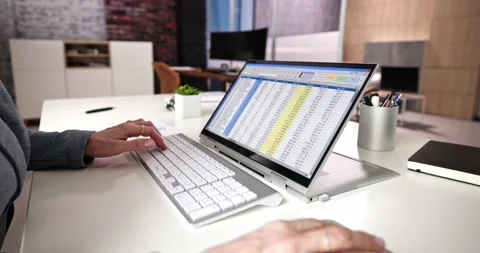 Electronic Spreadsheet Analyst Or Auditor Using Software Stock Footage 231926980