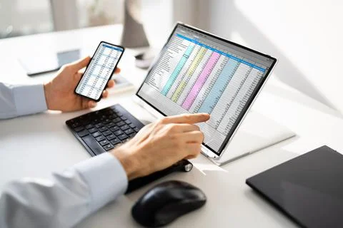 Electronic Spreadsheet Analyst Or Auditor Using Software Stock Photos