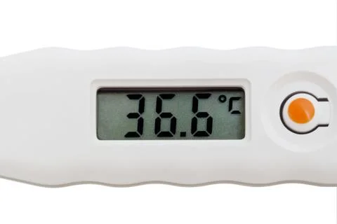 Electronic thermometer Foto stock