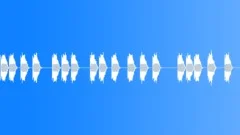 ELECTRONIC,BUTTON Sound Effect