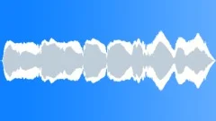 ELECTRONIC,FEEDBACKSound Effect
