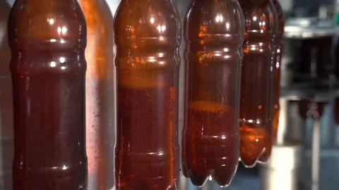 Electronics checks the quality of bottle on glass factory. Sorting beer bottles Stock-Footage 169499193