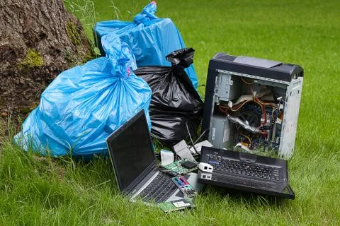 Electronics in a forest Stock Photos