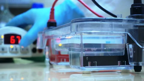 Electrophoresis 00 Stock Footage 94692576
