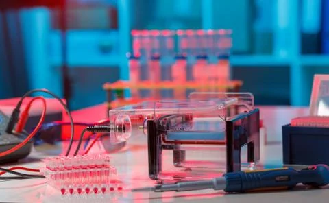Electrophoresis device in a genetics lab to decrypt the genetic code Foto stock