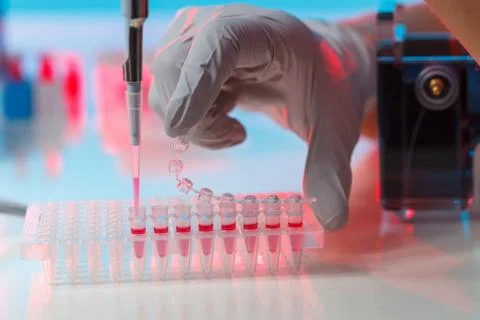 Electrophoresis device in a genetics lab to decrypt the genetic code Stock Photos