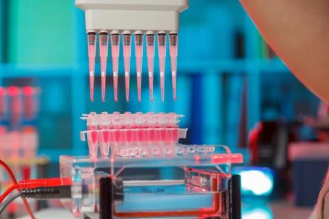 Electrophoresis device in a genetics lab to decrypt the genetic code 스톡 사진