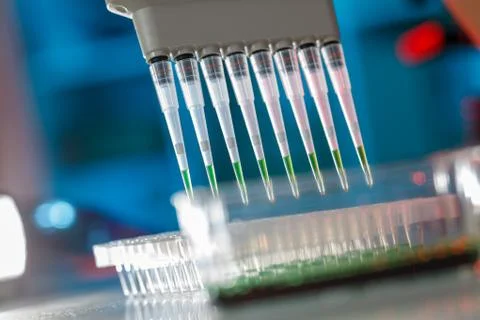 Electrophoresis device in a genetics lab to decrypt the genetic code Stock Photos