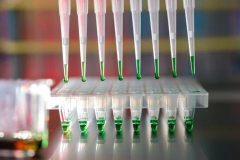 Electrophoresis device in a genetics lab to decrypt the genetic code Stock Photos