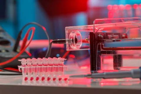 Electrophoresis device in a genetics lab to decrypt the genetic code 스톡 사진