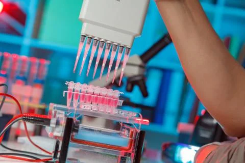 Electrophoresis device in a genetics lab to decrypt the genetic code Foto stock