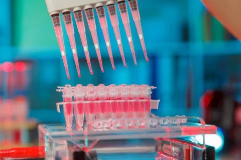Electrophoresis device in a genetics lab to decrypt the genetic code Stock Photos