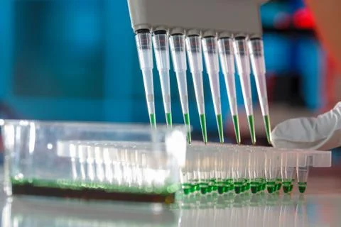 Electrophoresis device in a genetics lab to decrypt the genetic code Stock Photos