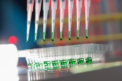 Electrophoresis device in a genetics lab to decrypt the genetic code Foto stock