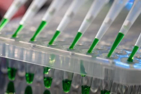 Electrophoresis device in a genetics lab to decrypt the genetic code Stock Photos