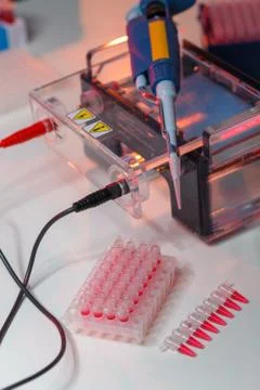 Electrophoresis device in a genetics lab to decrypt the genetic code Foto stock