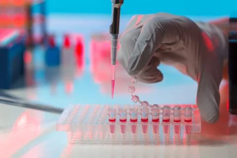 Electrophoresis device in a genetics lab to decrypt the genetic code Foto stock