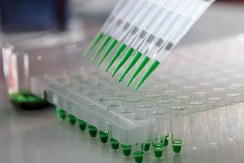 Electrophoresis device in a genetics lab to decrypt the genetic code Stock Photos