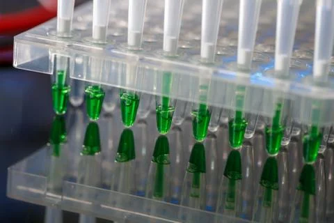 Electrophoresis device in a genetics lab to decrypt the genetic code Stock Photos