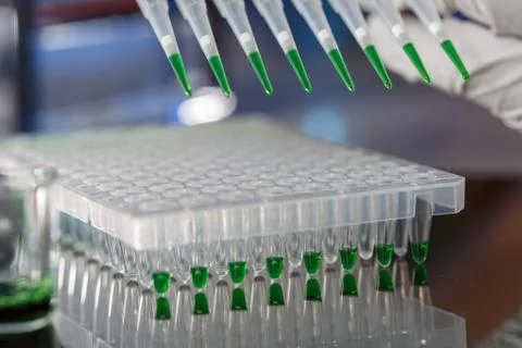 Electrophoresis device in a genetics lab to decrypt the genetic code Stockfoto's